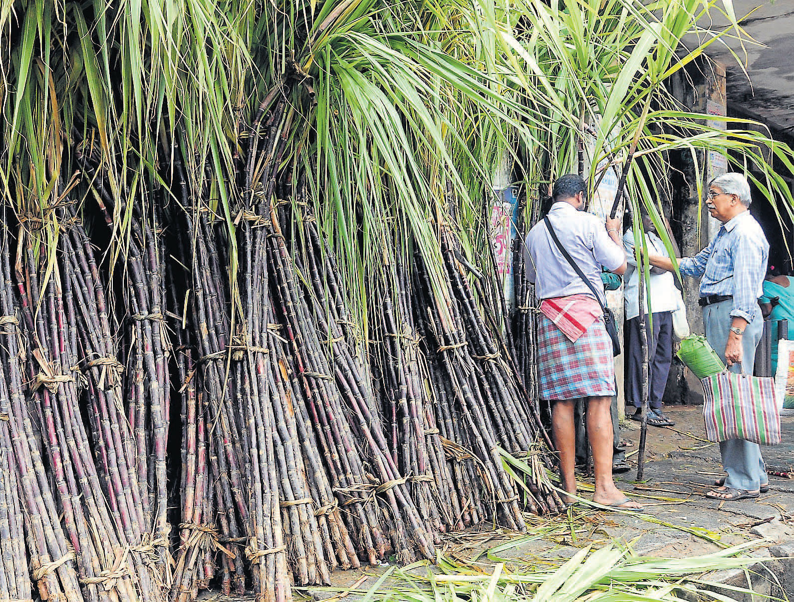 Sugarcane. DH file photo