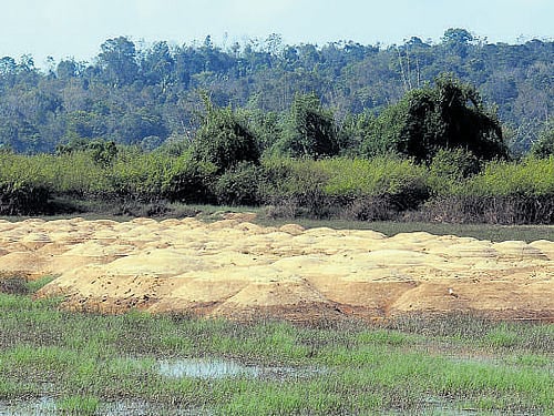 Sand worth Rs 2 crore seized