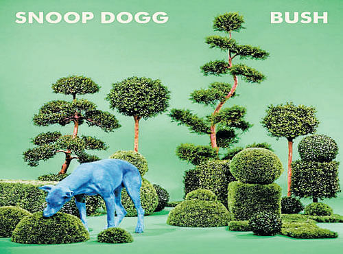 BUSH Snoop Dogg iTunes, Rs 150