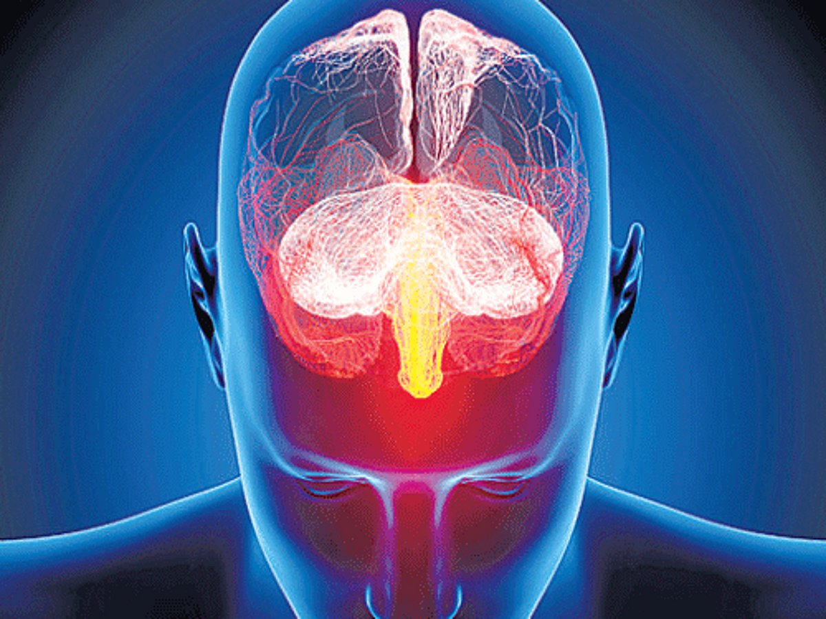Brain mechanisms behind multitasking identified