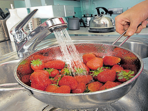 TRUE INDIAN Drainer Fruits Washing Bowl Fruit Rinse Bowl