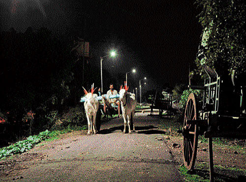 Bright nights Solar lights illuminate a street in Shukravadi, Kalaburagi.  Photo by KRISHNAKUMAR P S