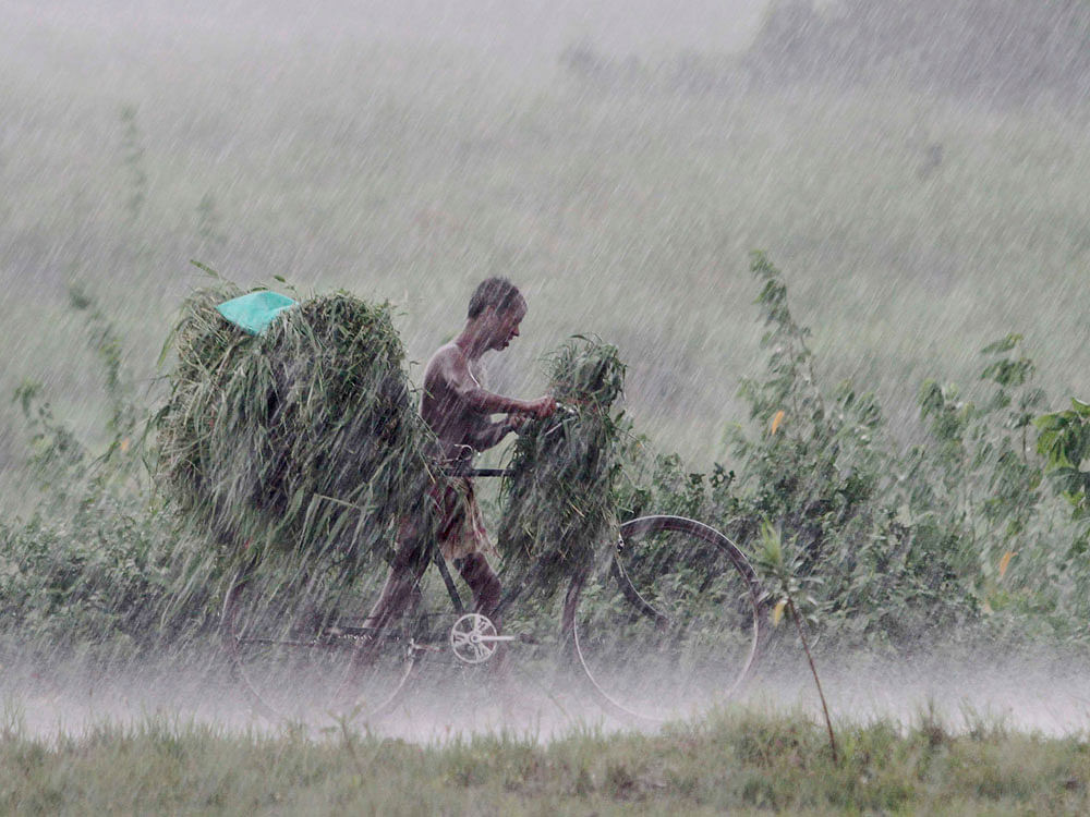 Heavy rains continued to lash the North Karnataka districts of Bagalkot and Raichur for the second day on Tuesday. AP file photo
