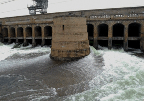 Karnataka had earlier this month expressed an inability to release Cauvery waters to Tamil Nadu saying it was facing its worst drought in over four decades. PTI file photo