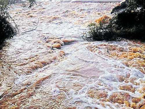 in full spate: Chikkatore stream near Huliyar in Chikkanayakanahalli taluk of Tumakuru district overflows following heavy rains that lashed the region in the early hours of Thursday. DH&#8200;Photo