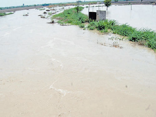 Bennihalla near Navalgund in Dharwad district overflows following heavy rains on Sunday.