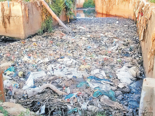 The management of municipal solid waste has become one of the major challenges for  urban local bodies. DH File Photo