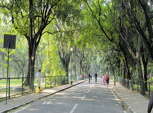 INCONVENIENT Visitors to Cubbon Park say that the restrooms there are unhygienic.