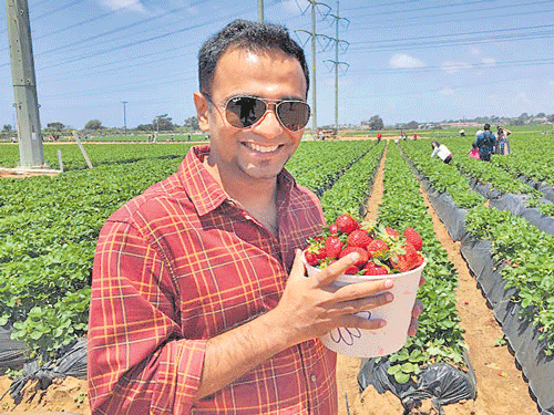 Exotic journey (Top) Karthik at a strawberry farm