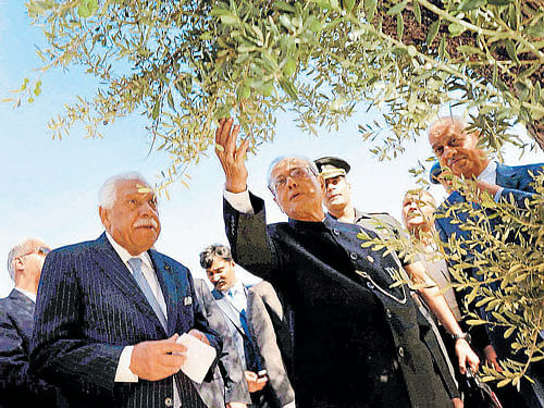 President PranabMukherjee during a tree conservation drive at the AlHussein Peace Park inAmman on Sunday. PTI