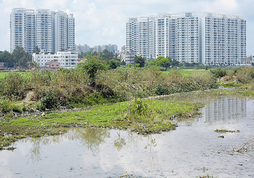 GRADUAL DESTRUCTION Urban water bodies are facing a decline due to various threats that include pollution and encroachments. DH PHOTO