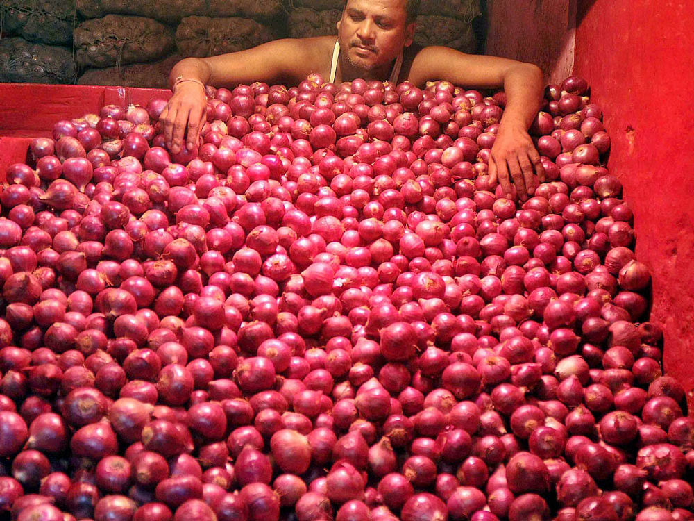 The wholesale prices of onion at Lasalgaon are expected to be in the range of Rs 20-30 per kg in the coming days, he added. PTI File Photo.