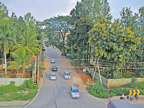 The approach road to Jakkur Plantation, off Ballari Road. DH file photo