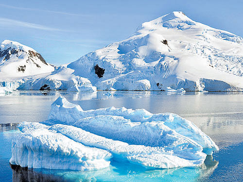 not clear A recent study indicated the situation in Antarctica is complex.