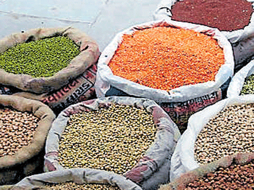 According to the Consumer Affairs Ministry, over 5,800 tonnes of pulses have been seized in five states in the last few months. Around 2,546 tonnes have been seized from Telangana, 2,295 tonnes from Madhya Pradesh, 600 tonnes from Andhra Pradesh, 360 tonnes from Karnataka and 1 tonne from Maharashtra. Dh File Photo.