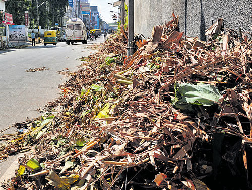 A heap of dry banana leaves lies uncleared on the roadside neer Old Airport Road in the City. DH Photos