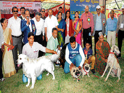 Participants display their pets during the second national open dog show, organised by Canine Club of Mysore (CCM),  in Mysuru on Sunday. DH photo