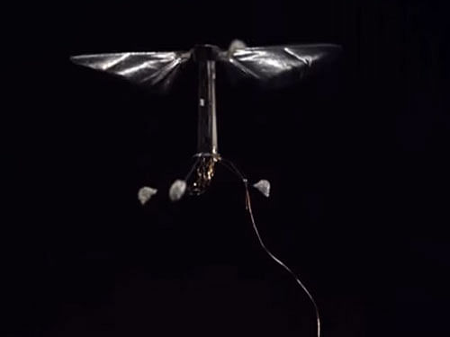 The RoboBee, designed in postdoctoral fellow Robert J Wood's lab, is a microrobot, smaller than a paperclip, that flies and hovers like an insect, flapping its tiny, nearly invisible wings 120 times per second. Screengrab