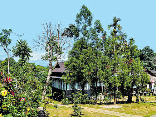 A view of the Mawlynnong village with clean pathways and courtyards. Photo: K MUKHERJEE