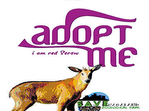 A poster of the Animal Adoption initiave of Nagaland. Authorities are quoting from Bible in their advertisements urging people to adopt animals and be blessed by God.