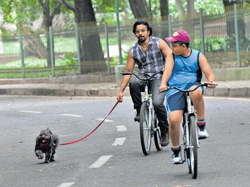 Cyclists are having a jolly time at the Cubbon Park on  Sundays. DH file photo