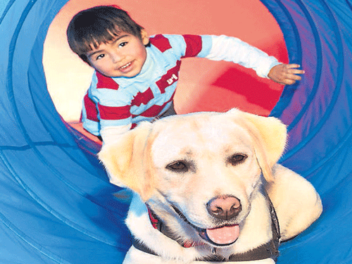 Children who grow up with dogs have about 15 per cent less asthma risk than those without the pets, a new study has claimed. File photo for representation only