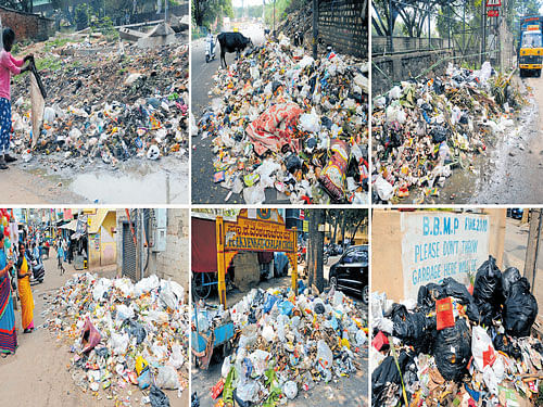 These are some of the dirty corners in the City captured by Deccan Herald photographers at (clockwise from top left) Banaswadi railway station; Bore Bank Road, William Town; Assaye Road; Ashoka Pillar Road (Siddapura); Ulsoor lake road; Hayes Road; Prof K Venkatachalam Circle; 6th main, 6th cross, Someshwara Colony, Siddapura. The garbage crisis threatens to go out of hand following increasing protests by residents near landfills. DH photos / B H Shivakumar and S K Dinesh