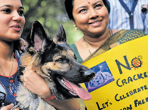 Actor Tara Anuradha takes part in an awareness programme about the ill-effects of crackers on pets, at Cubbbon Park on Sunday. DH PHOTO
