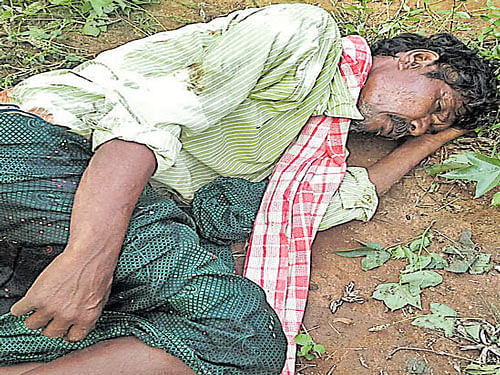 Sannaiah was injured in a tiger attack at Haralahalli village under the Bandipur Tiger Reserve in H D Kote taluk on Thursday. DH&#8200;PHOTO