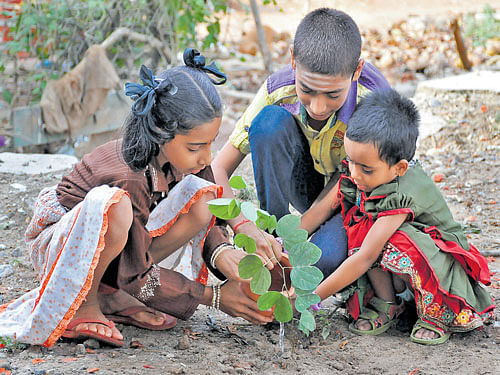 In each selected school, three to four acres of government land will be developed into a  model 'green school forest' by planting saplings and medicinal plants. DH FILE PHOTO