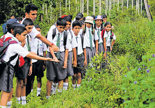 Sammilan Shetty on a butterfly trail with school children. photos by sammilan shetty & rajmohan m r