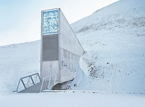 The Global Seed Vault serves as a back-up to many back-ups already present in several nations.