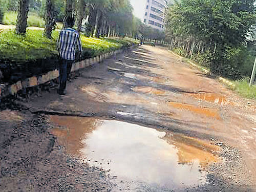 The Neotown Road, Electronics City, is riddled with potholes, making it difficult for commuters and pedestrians. DH PHOTO