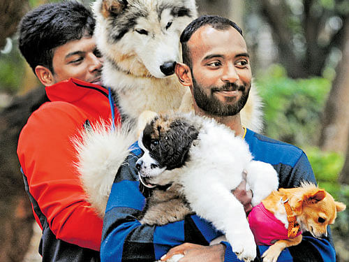 Dog lovers participate with their pets in the Pet-a-Thon organised by the Rotary IT Corridor at Cubbon Park on Sunday. DH PHOTOS