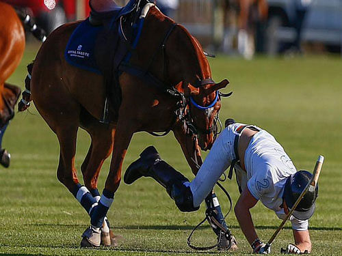 Britian's Prince Harry has had a dramatic fall from his polo pony during a charity match in South Africa. Photo: screengrab