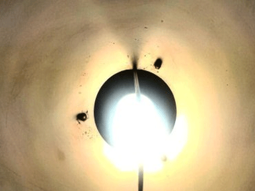 CFL Bulb. Image Courtesy Twitter.