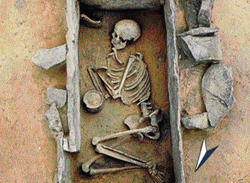 In an undated handout photo, a burial site of a neolithic culture found near Saxony-Anhalt, Germany. A rapidly growing supply of DNA from ancient skeletons is changing evolutionary history. Geneticists at Harvard have found that the rise of agriculture some 8,500 years ago led to widespread changes, affecting height and skin colour. nyt