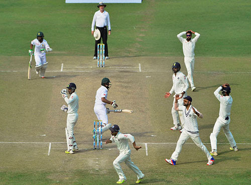 Indian players unsuccessfully appeal for Hashim Amla's wicket during 4thday of the fourth Test match at Ferozshah Kotla Stadium in New Delhi on Sunday. PTI Photo