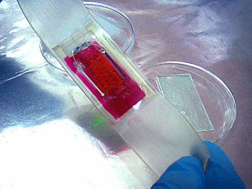 The sticky, stretchy, gel-like band can incorporate temperature sensors, LED lights and other electronics, as well as tiny drug-delivering reservoirs and channels.  Twitter image for representation
