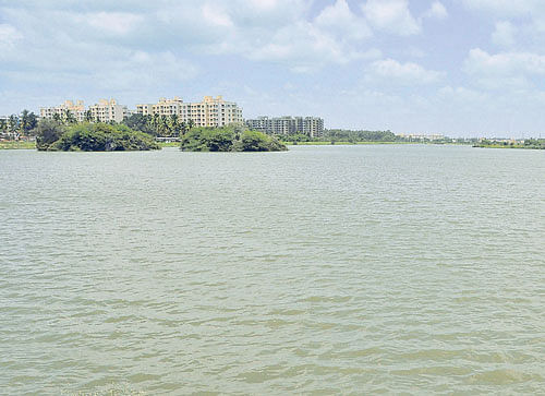 The worries for City's biggest living lake stem from the recent frothing in the Bellandur and Varthur lakes. DH PHOTO