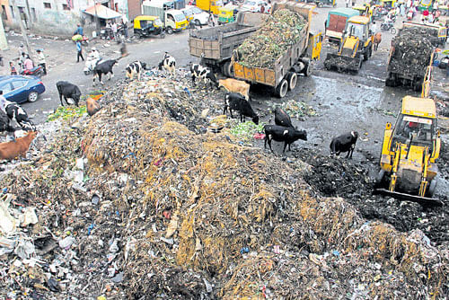 Heaps of garbage are being cleared by BBMP workers at the KR&#8200;Market  on Tuesday. KPN
