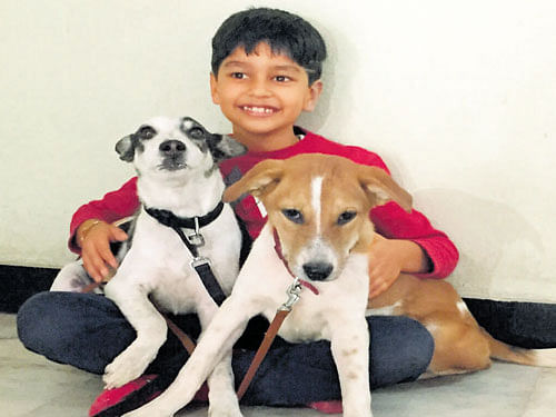 Devaarsh cuddles puppies which his uncle brought home through the Uber app. DH PHOTO