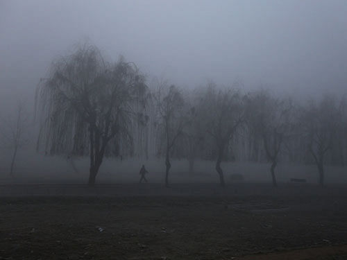 A man jogs in a public park on a cold and foggy winter morning in Srinagar. REUTERS