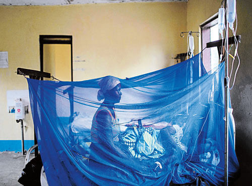 LYING IN WAIT: A woman tends to a relative being treated for malaria at a medical centre in Kirando, Tanzania. Biologists are developing a revolutionary genetic technique that may provide an unprecedented degree of control over insect-borne diseases and crop pests. NYT