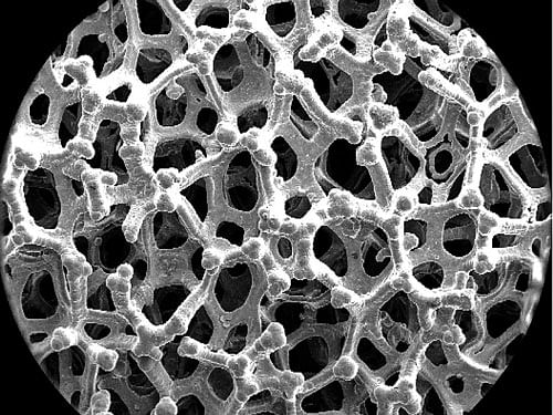 A close-up of the graphene foam's structure.