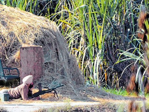 on alert: A securityman during an operation at Bhullaechak Colony village in Gurdaspur on Friday. PTI