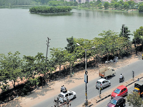 House committee lays bare neglect, misuse of lakes in City