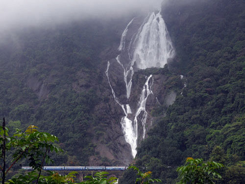 Dudhsagar Falls. DH file photo