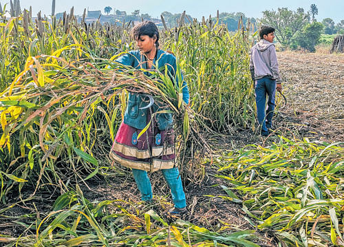 Chhaya Shinde, who had to drop out of school after her father, a millet farmer, lost much of his income, in Shinde. Three years ago, Beiqi Foton Motor, a Chinese truck manufacturer, secured 250 acres of farmland in the village, causing multiple repercussions. nyt