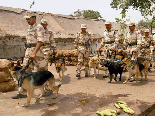 ITBP dog squad. PTI file photo